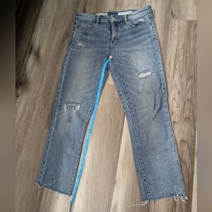 Pilcro And The‎ Letterpress Slim Boyfriend Jean, Size 28, Distressed, MIDRISE